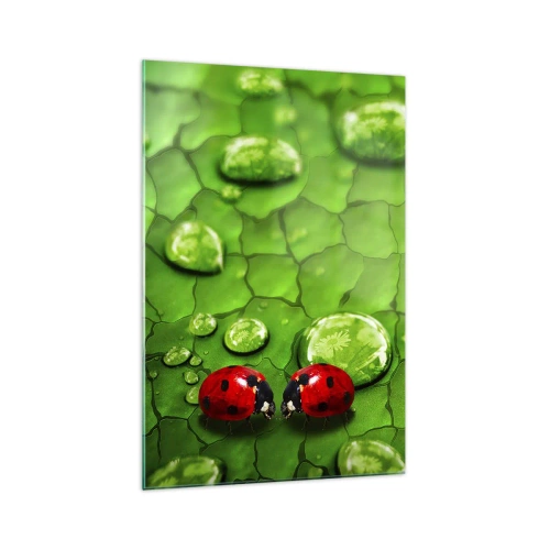 Quadro su vetro - Due coccinelle su una foglia con gocce d'acqua in macrofotografia - 70x100cm - Incontro in verde - Decorazione murale moderna per soggiorno e camera da letto ARTTOR