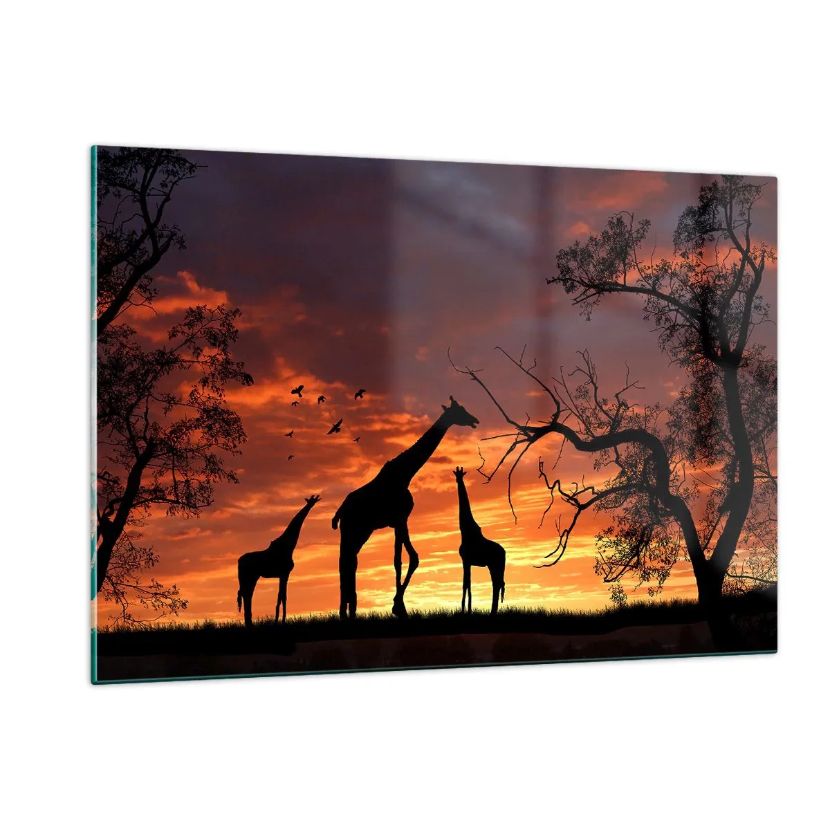 Quadro su vetro - Sagome di giraffe sullo sfondo di un tramonto in un paesaggio africano - 120x80cm - Piccola cena tra amici - Decorazione murale moderna per soggiorno e camera da letto ARTTOR
