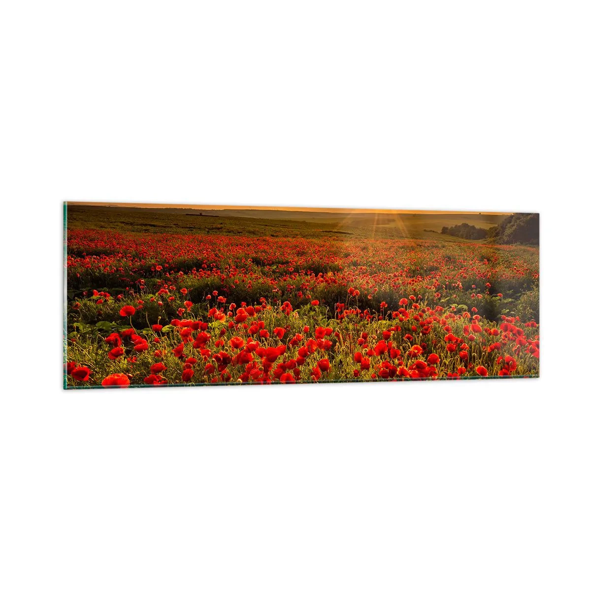 Quadro su vetro - Tra il fruscio delle erbe, in un'esplosione di fiori - 90x30 cm