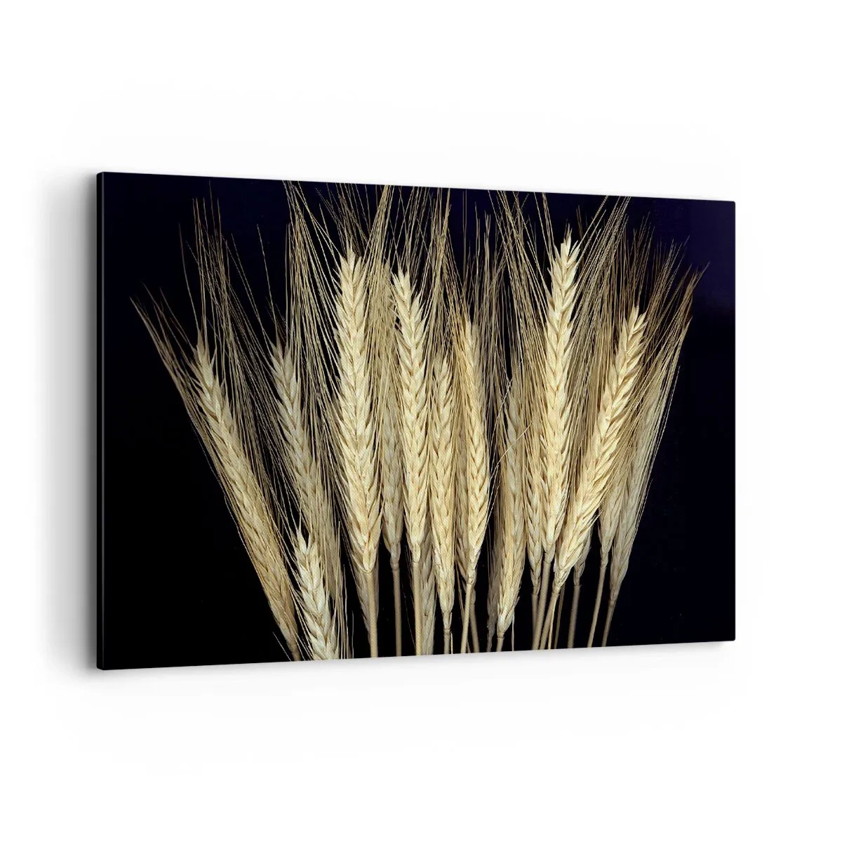 Quadro su tela - Stampe su Tela - Spighe di grano su sfondo nero in stile rustico - 120x80cm - Magia rustica - Decorazione murale moderna per soggiorno e camera da letto ARTTOR