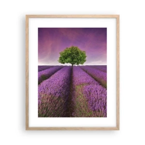 Poster in cornice rovere chiaro - Sui campi di lavanda - 40x50 cm