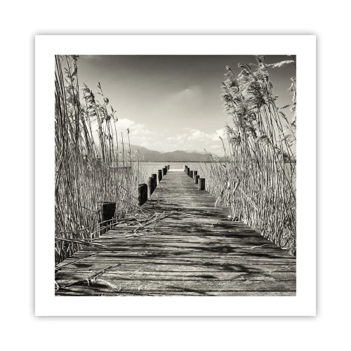 Poster - Nel silenzio dell'erba - 50x50 cm