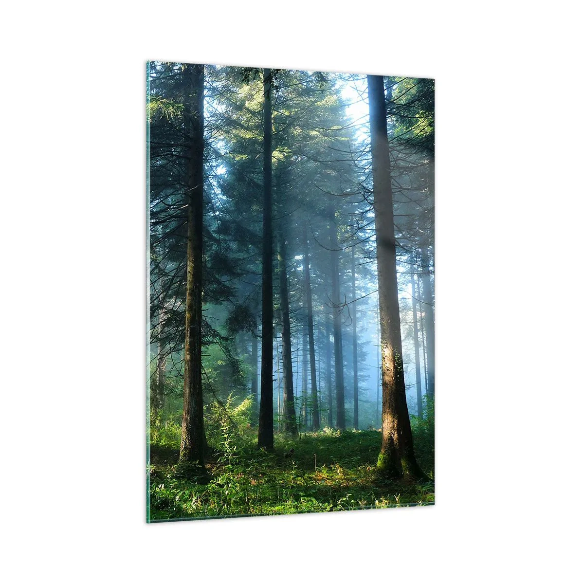 Quadro su vetro - Un sentiero nel bosco nella nebbia mattutina tra alberi alti - 50x70cm - Raggiante all'alba - Decorazione murale moderna per soggiorno e camera da letto ARTTOR