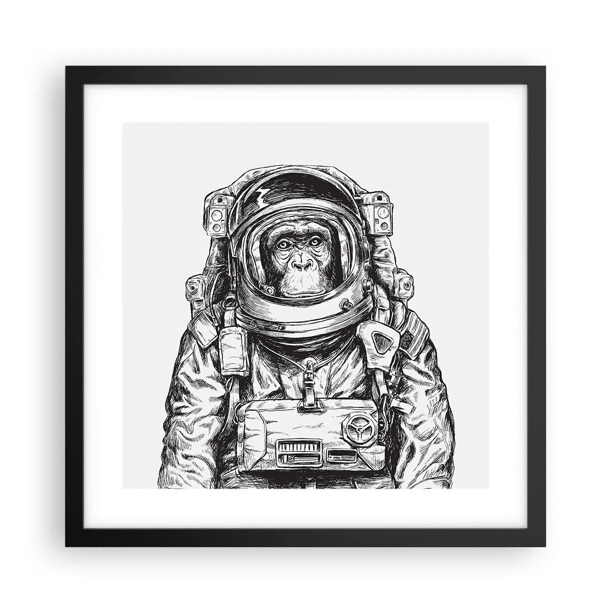 Poster in cornice nera - Evoluzione alternativa - 40x40 cm