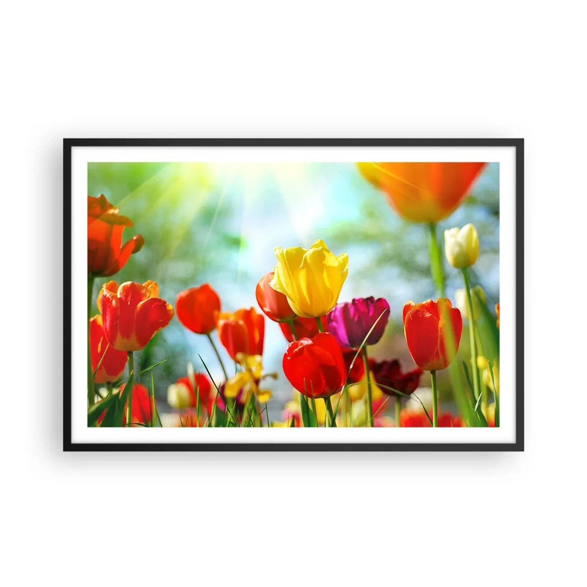 Poster in cornice nera - Tutti i colori del sole - 91x61 cm