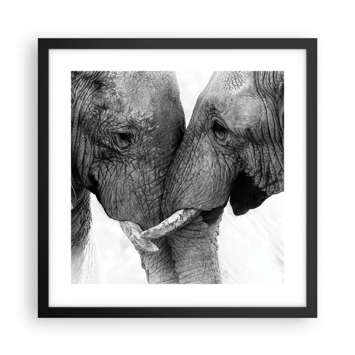 Poster in cornice nera - Dichiarazione sincera - 40x40 cm