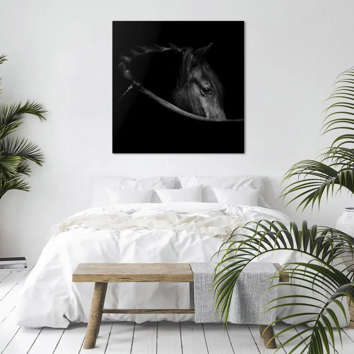 Quadro su tela - Stampe su Tela - Il principe nero - 70x70 cm