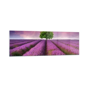 Quadro su vetro - Un campo di lavanda con un albero solitario e un cielo viola - 160x50cm - Sui campi di lavanda - Decorazione murale moderna per soggiorno e camera da letto ARTTOR
