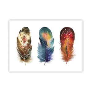 Poster - Tre piume colorate con motivi artistici su uno sfondo chiaro - 100x70cm - Cerimonie, riti, misteri - Decorazione murale moderna per soggiorno e camera da letto ARTTOR