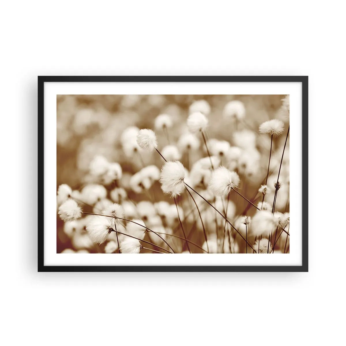 Poster in cornice nera - Un campo di delicate piante color seppia - 70x50cm - Campo di morbidezza - Decorazione murale moderna per soggiorno e camera da letto ARTTOR