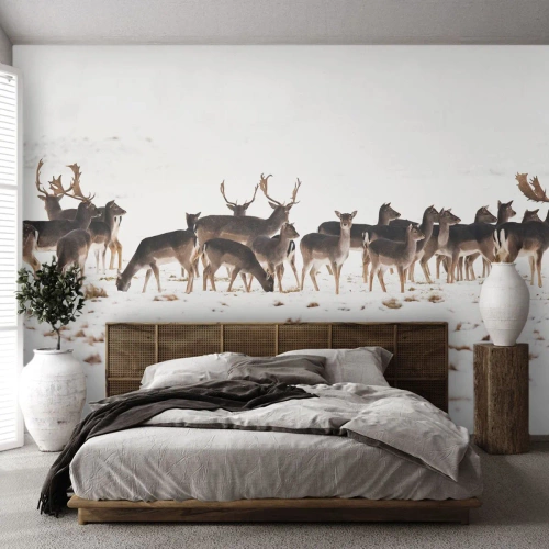 Fotomurali Standard Eco - Tra poco è Natale? - Animali, Cervo, Natura - 350x256 cm