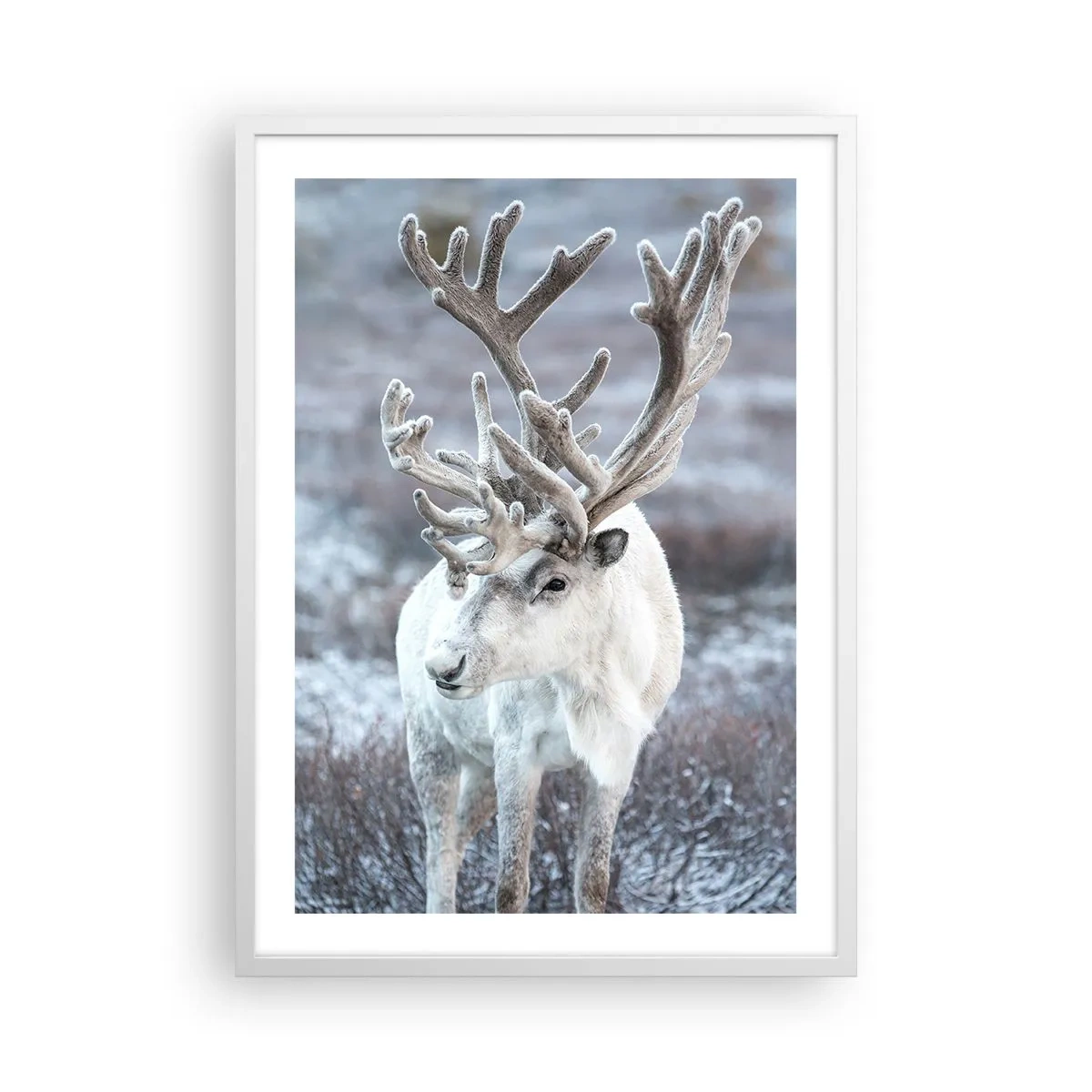 Poster in cornice bianca - Ritratto al sole - 50x70 cm