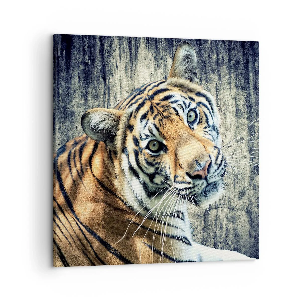 Quadro su tela - Stampe su Tela - Ritratto nei flussi di luce - 50x50 cm