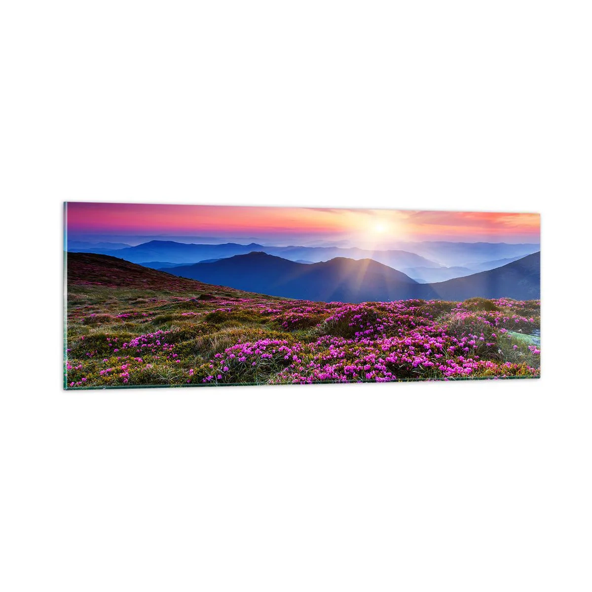 Quadro su vetro - Il profumo dei fiori freschi del campo - 90x30 cm