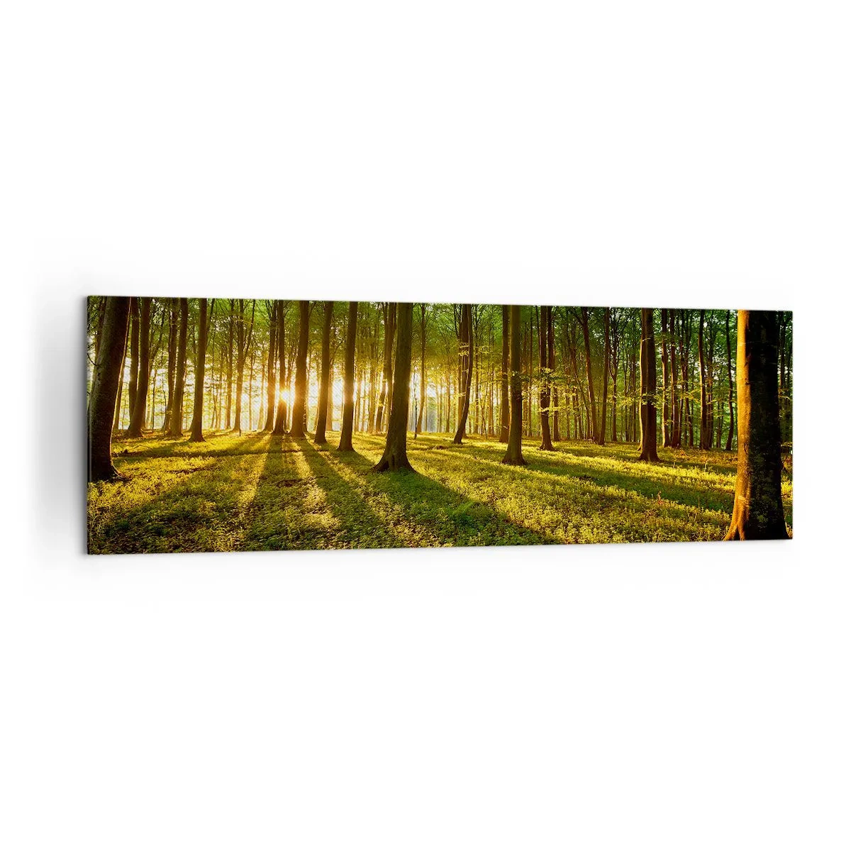 Quadro su tela - Stampe su Tela - Il sole al tramonto nella foresta decidua - 160x50cm - La foto di ogni primavera - Decorazione murale moderna per soggiorno e camera da letto ARTTOR