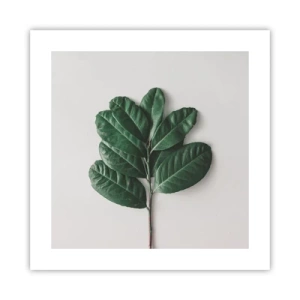 Poster - Il disegno della natura stessa - 40x40 cm