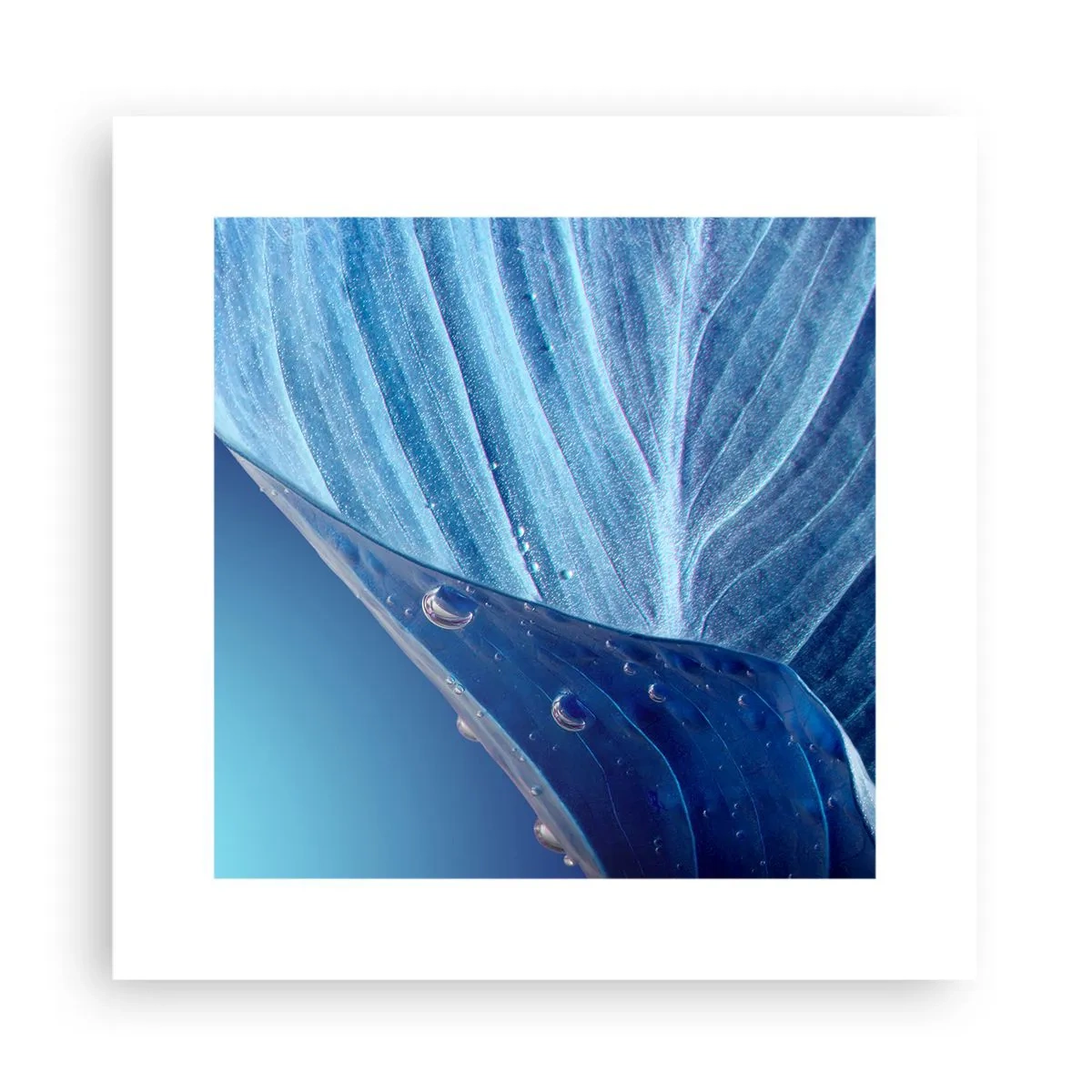 Poster - Gocce di blu nascoste - 30x30 cm