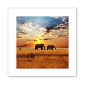 Poster - Passeggiata familiare - 30x30 cm