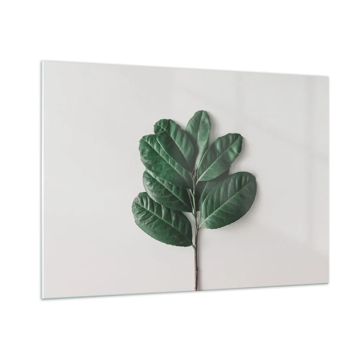 Quadro su vetro - Un ramo con foglie verdi su uno sfondo chiaro - 100x70cm - Il disegno della natura stessa - Decorazione murale moderna per soggiorno e camera da letto ARTTOR