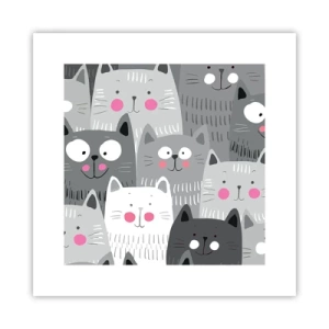 Poster - Il mondo dei gatti - 30x30 cm