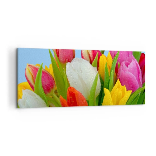 Quadro su tela - Stampe su Tela - Fiori multicolori nella rugiada - 100x40 cm