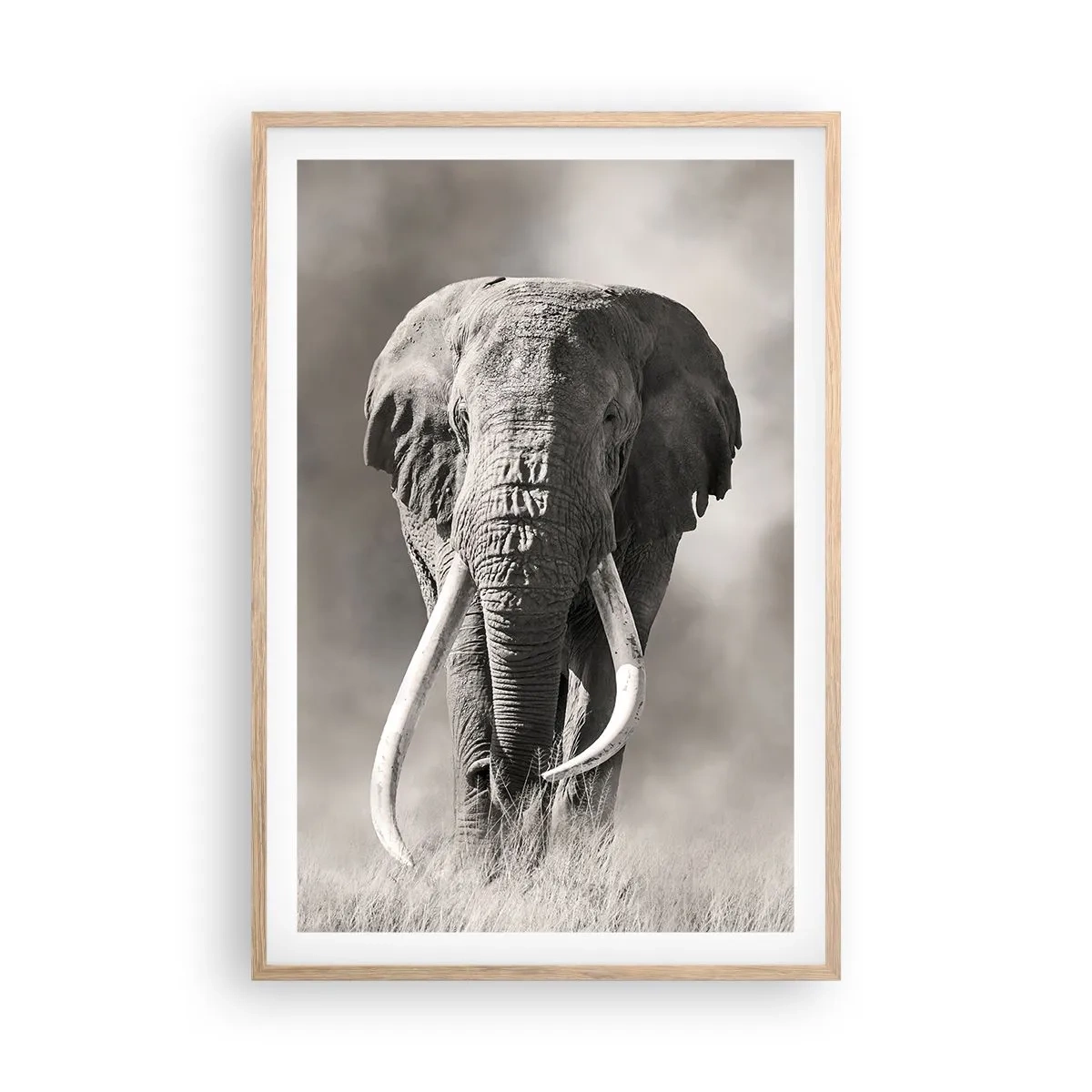 Poster in cornice rovere chiaro - Patriarca africano - 61x91 cm