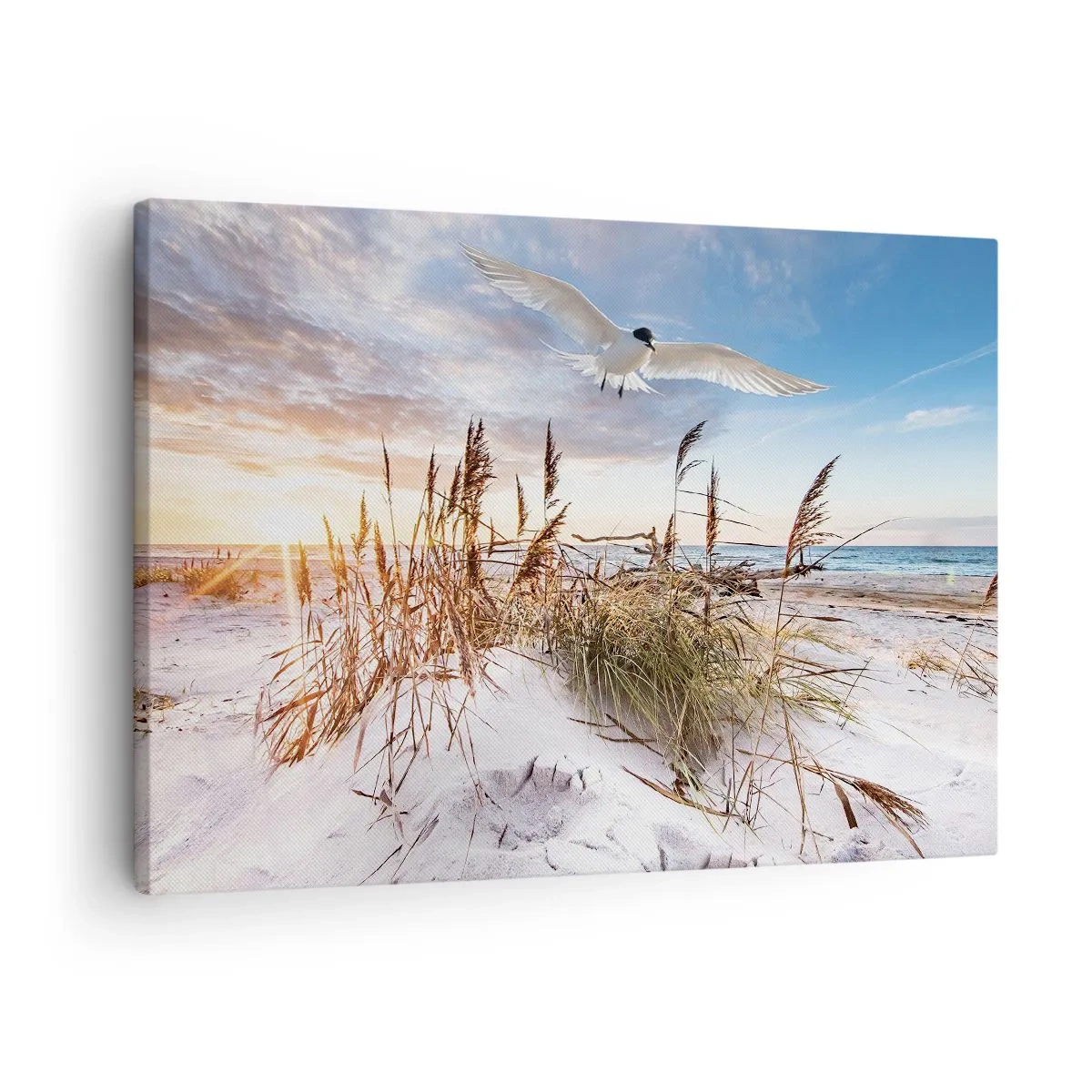 Quadro su tela - Stampe su Tela - Spiaggia con gabbiani che volano al tramonto - 70x50cm - Vento dal mare - Decorazione murale moderna per soggiorno e camera da letto ARTTOR