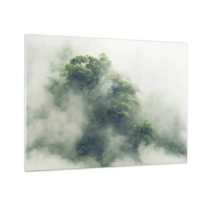 Quadro su vetro - Alberi della foresta tropicale che emergono dalla fitta nebbia - 70x50cm - Avvolti dalla nebbia - Decorazione murale moderna per soggiorno e camera da letto ARTTOR