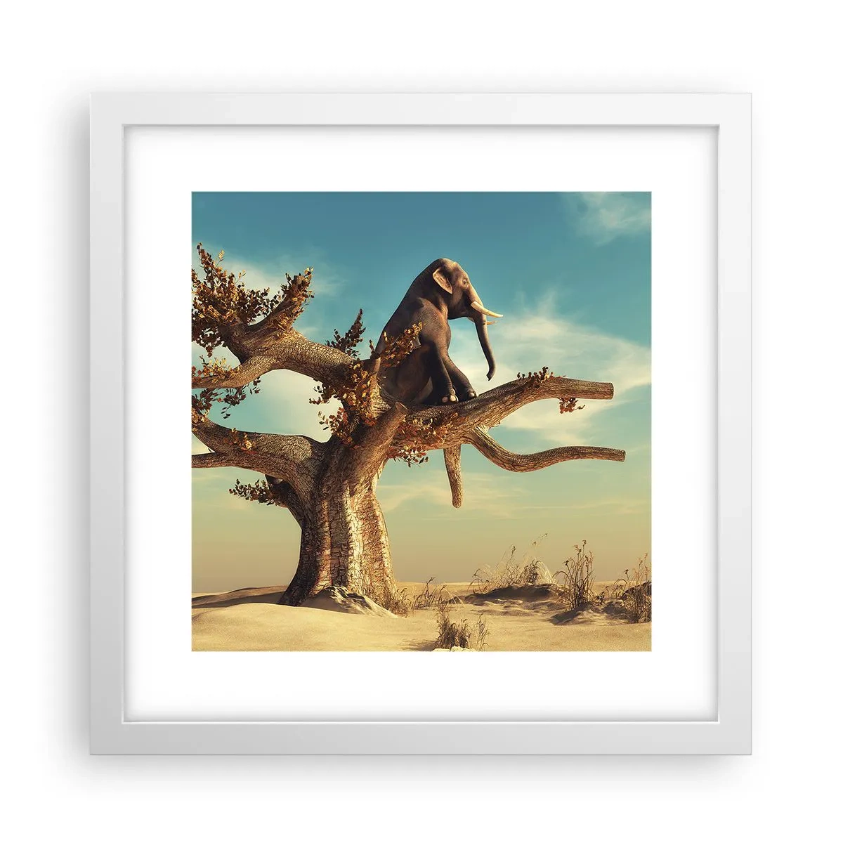 Poster in cornice bianca - Nuovo punto di vista - 30x30 cm