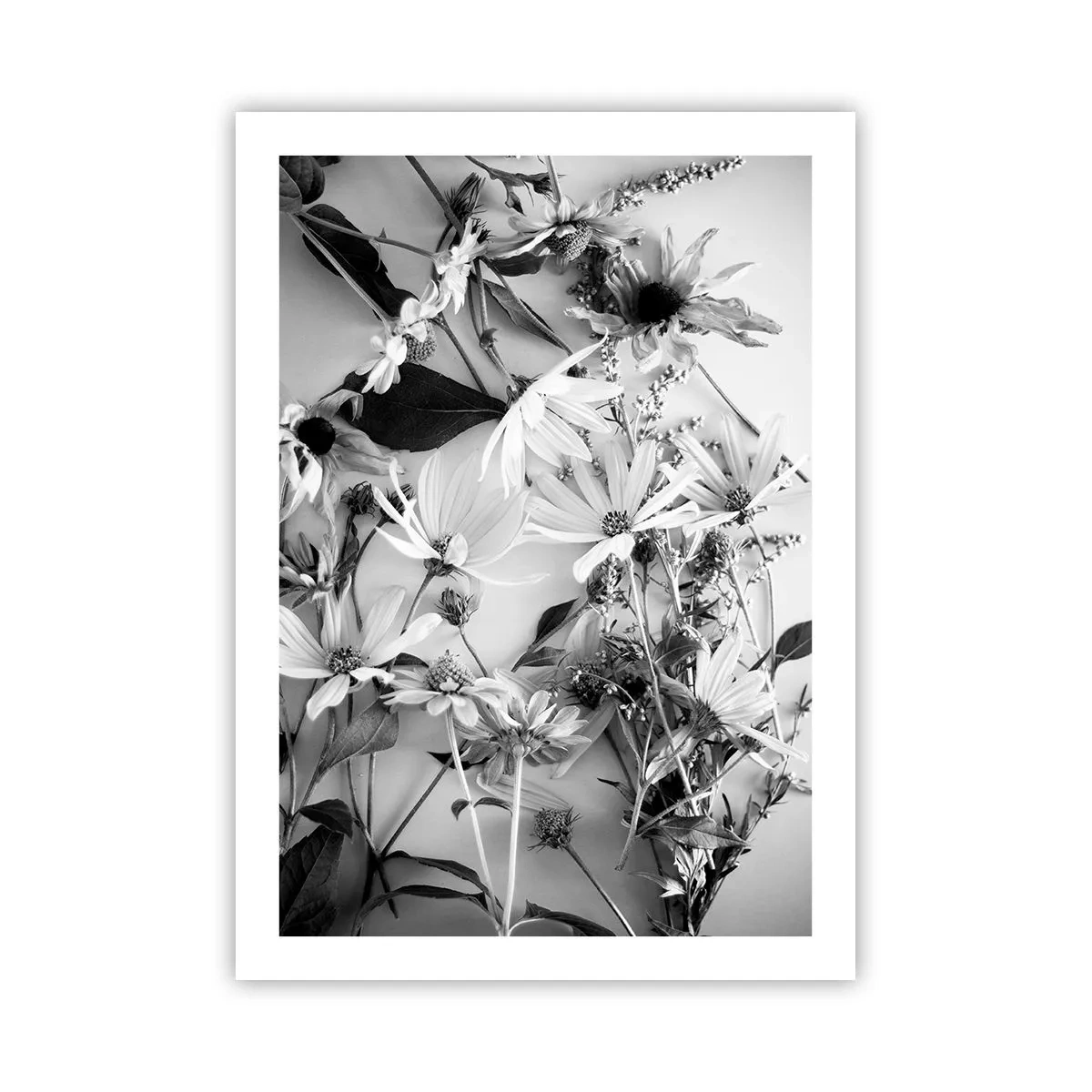 Poster - Fiori bianchi e neri disposti in una disposizione artistica - 50x70cm - Un non bouquet di fiori - Decorazione murale moderna per soggiorno e camera da letto ARTTOR