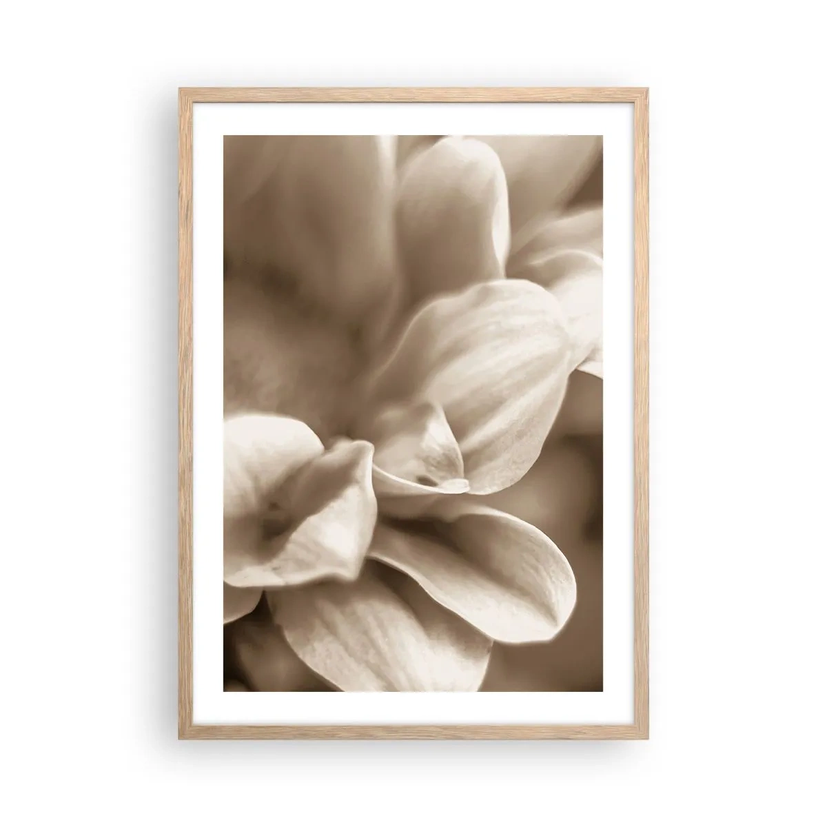 Poster in cornice rovere chiaro - Mite come un sorriso - 50x70 cm