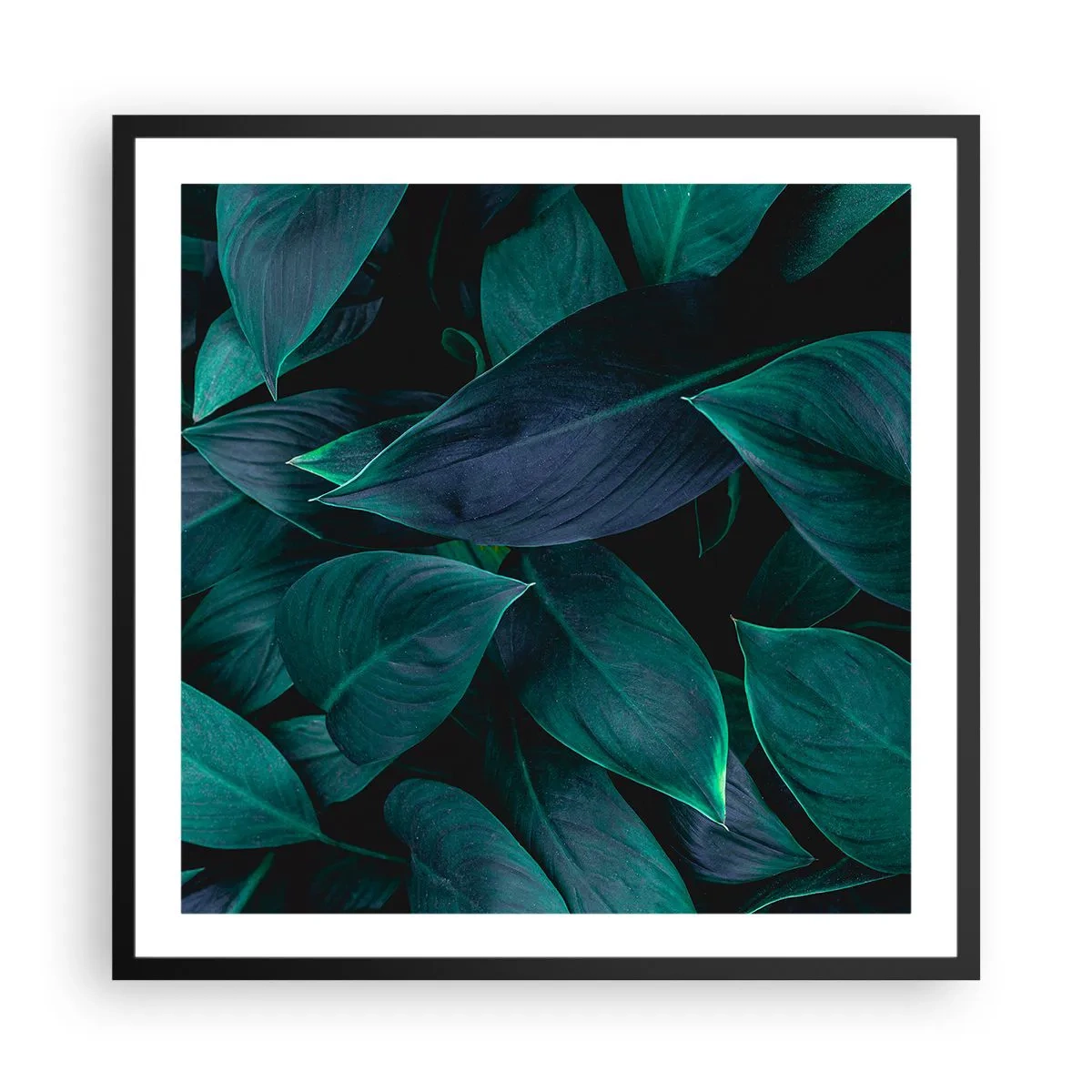 Poster in cornice nera - Il verde puro - 60x60 cm