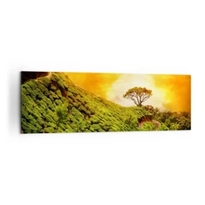 Quadro su tela - Stampe su Tela - Verdi colline di piantagioni di tè al tramonto - 160x50cm - Sentiero tortuoso, pendio verde - Decorazione murale moderna per soggiorno e camera da letto ARTTOR