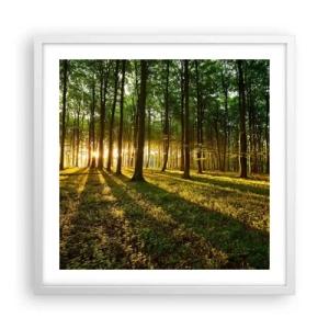 Poster in cornice bianca - La foto di ogni primavera - 50x50 cm