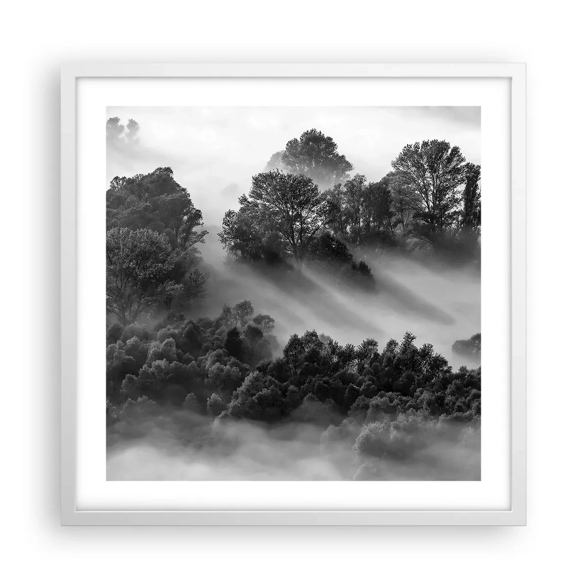 Poster in cornice bianca - Risveglio dal sonno - 50x50 cm