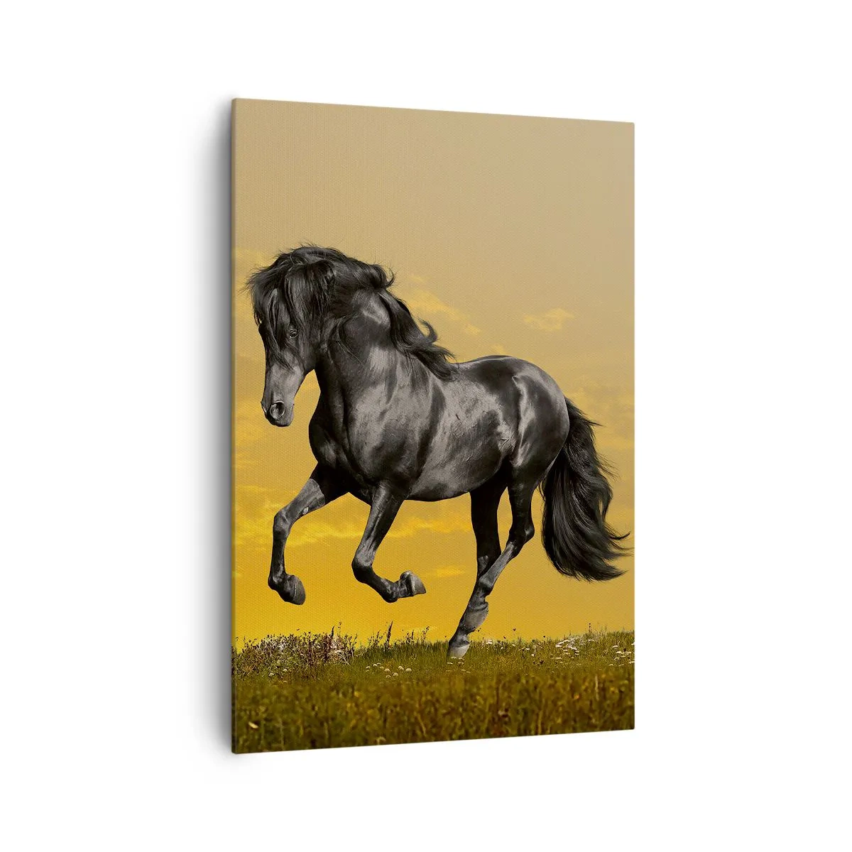 Quadro su tela - Stampe su Tela - Un cavallo nero galoppa sullo sfondo di un tramonto dorato. - 70x100cm - Bello, libero e selvaggio - Decorazione murale moderna per soggiorno e camera da letto ARTTOR