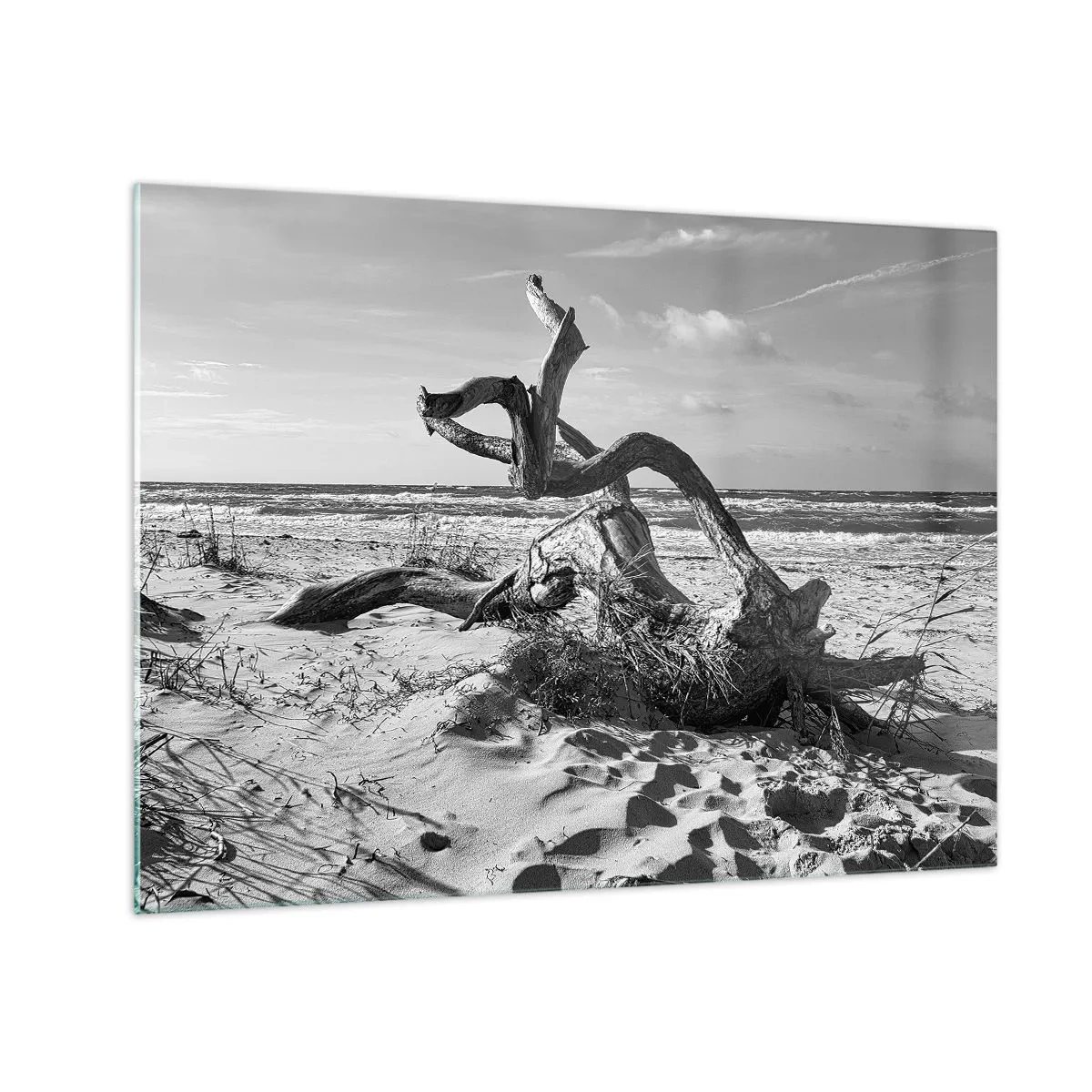 Quadro su vetro - Un paesaggio in bianco e nero con un ramo caduto su una spiaggia in riva al mare. - 70x50cm - Scolpito dal mare - Decorazione murale moderna per soggiorno e camera da letto ARTTOR
