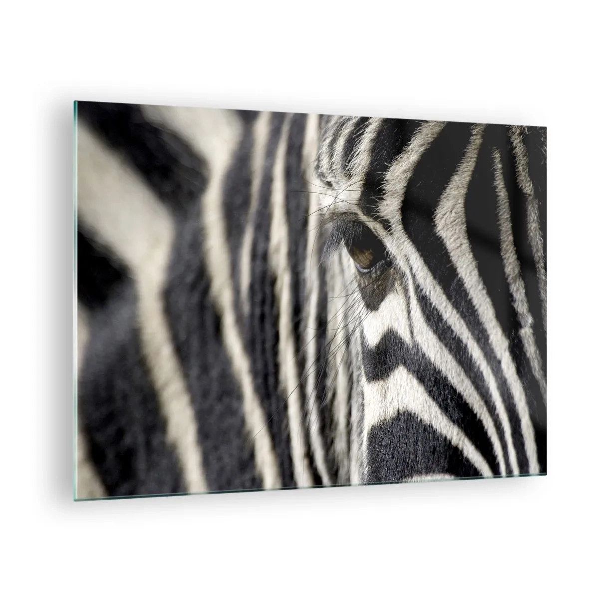 Quadro su vetro - Primo piano dell'occhio di una zebra e delle sue strisce bianche e nere - 70x50cm - Ritratto a strisce - Decorazione murale moderna per soggiorno e camera da letto ARTTOR