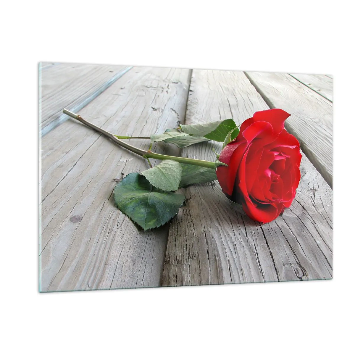 Quadro su vetro - Rosa rossa su una tavola di legno - 120x80cm - Studio in scarlatto - Decorazione murale moderna per soggiorno e camera da letto ARTTOR