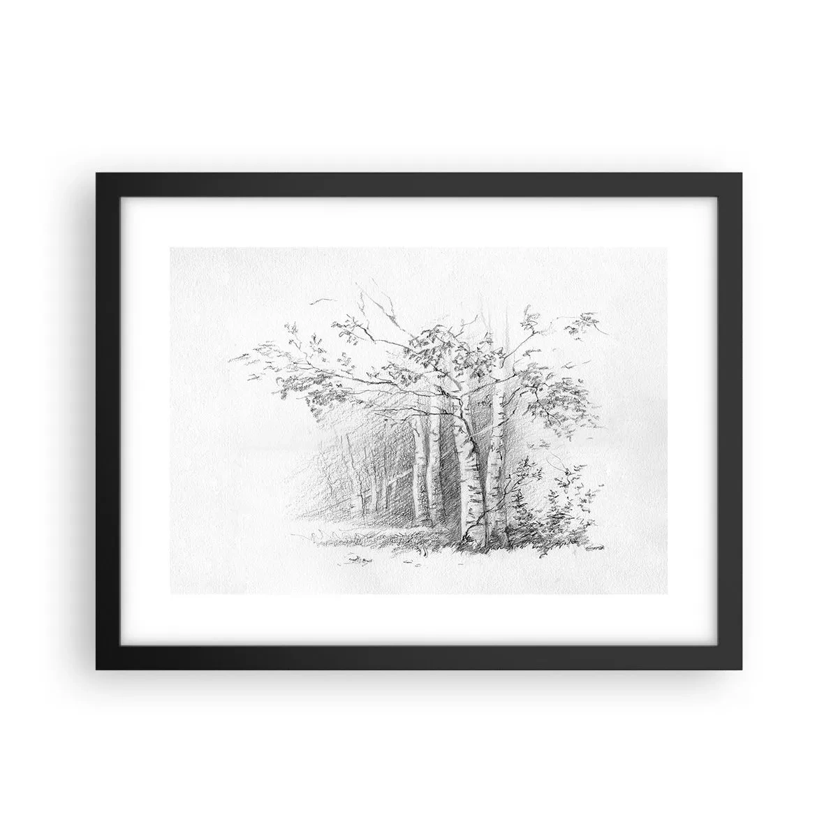 Poster in cornice nera - La luce della foresta di betulle - 40x30 cm