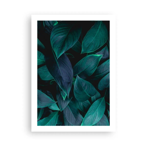 Poster - Foglie verde scuro con retroilluminazione tenue - 50x70cm - Il verde puro - Decorazione murale moderna per soggiorno e camera da letto ARTTOR