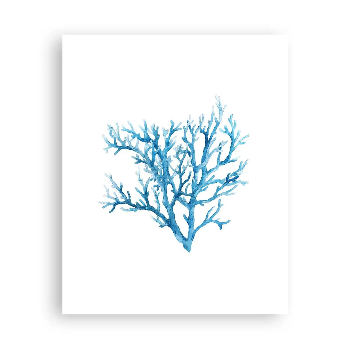 Poster - Filigrana marina - 40x50 cm