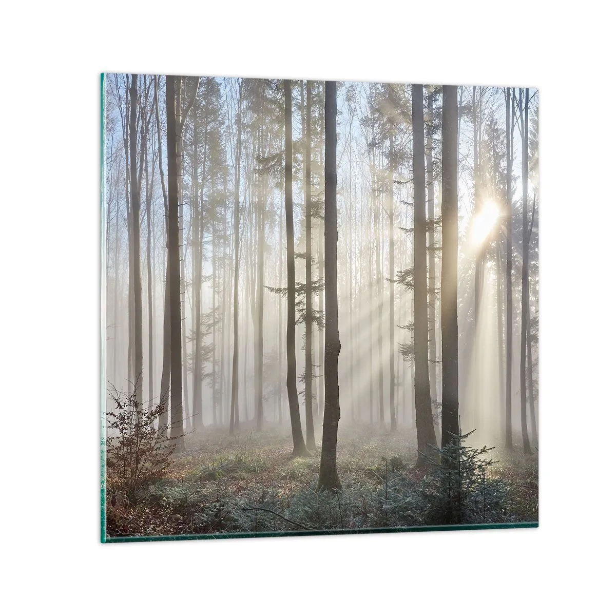Quadro su vetro - Anche la nebbia si è svegliata - 30x30 cm