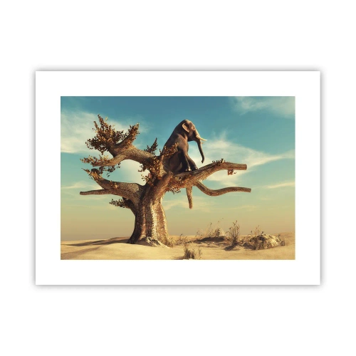 Poster - Nuovo punto di vista - 40x30 cm