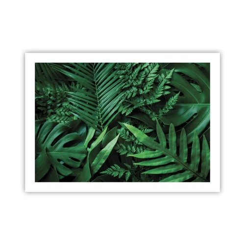 Poster - Avvolti nel verde - 70x50 cm