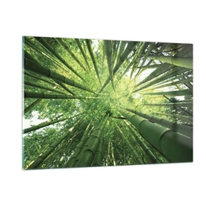 Quadro su vetro - Vista prospettica dall'alto della foresta di bambù - 120x80cm - Nella foresta di bambù - Decorazione murale moderna per soggiorno e camera da letto ARTTOR