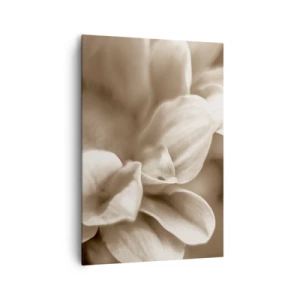 Quadro su tela - Stampe su Tela - Primo piano di fiori in una delicata tonalità seppia con contorni morbidi - 70x100cm - Mite come un sorriso - Decorazione murale moderna per soggiorno e camera da letto ARTTOR