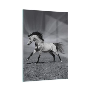 Quadro su vetro - Una foto in bianco e nero di un cavallo al galoppo in un campo aperto. - 50x70cm - Nato per affascinare - Decorazione murale moderna per soggiorno e camera da letto ARTTOR