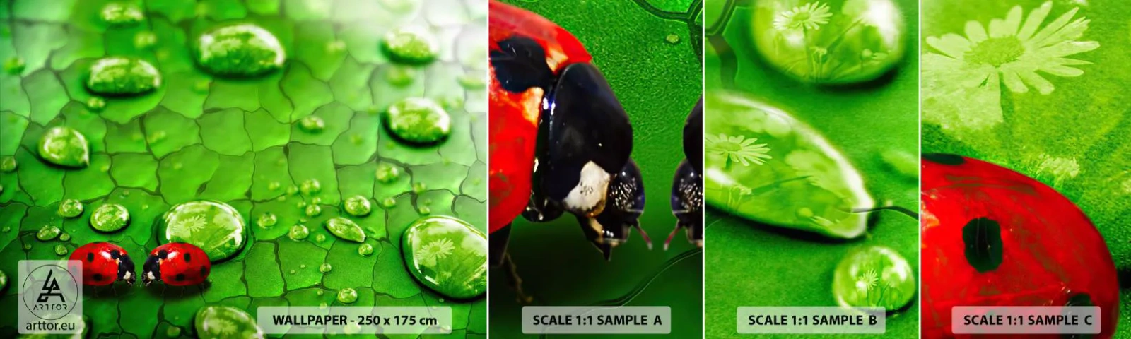 Campione Di Fotomurale Standard Eco - Incontro in verde - Natura, Coccinella, Una goccia d'acqua - 100x30 cm