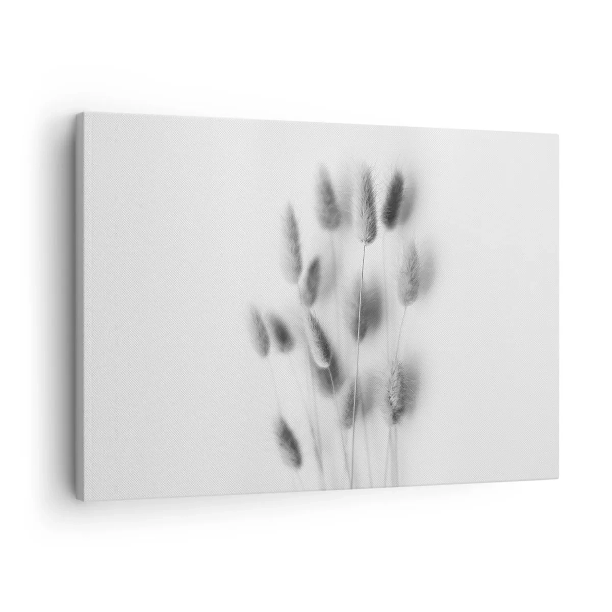 Quadro su tela - Stampe su Tela - Erbe delicate in tonalità di grigio su sfondo bianco - 70x50cm - Erba soffice - Decorazione murale moderna per soggiorno e camera da letto ARTTOR